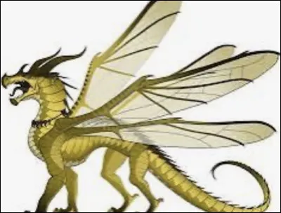 Comment sappelle cette dragonne ?