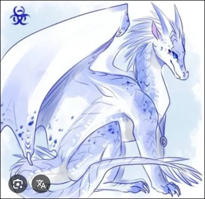 Comment se nomme cette dragonnette ?