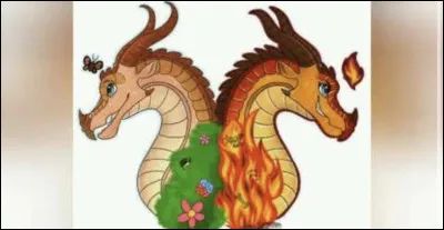 Qui sont ces dragons ?