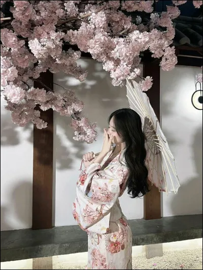 Quelle est la capitale du Japon ?