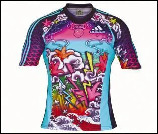 De quelle quipe du Top 14 est ce maillot ?