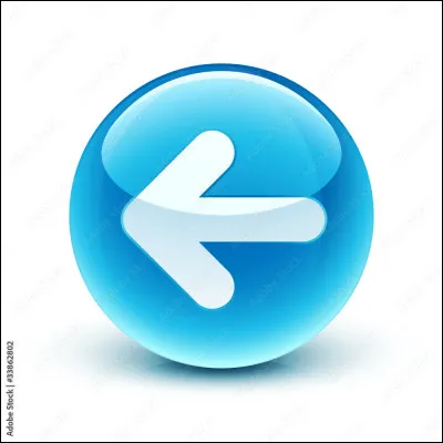 Lequel de ces mots ne peut-être un synonyme de "retour" ?