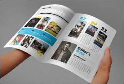 Si ce n'est pas un livre, c'est peut-&ecirc;tre un :