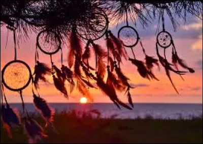 Le contraire du r&ecirc;ve, c'est bien s&ucirc;r le :