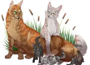 Quiz La famille d'toile Balafre