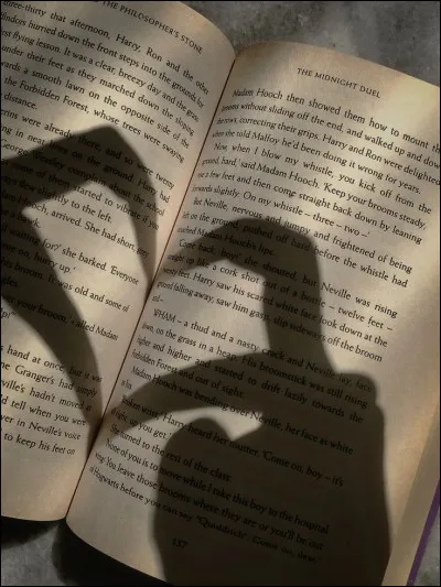 Tu pr&eacute;f&egrave;res quand la fin des histoires est :