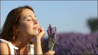 Tu sens l'odeur d'un autre clan sur ton territoire que fais-tu ?