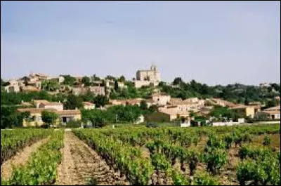 La commune de Rochefort-du-Gard est dans le Gard.