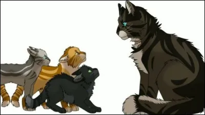 Ta compagne et toi avez trois chatons.