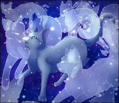 Tes derniers mots...