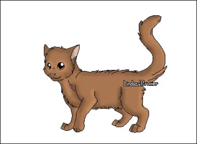 Tu es maintenant apprenti, du nom de nuage de Brume. Ton mentor est...