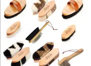 Quiz tes-vous prs  passer votre Galop 1 ?