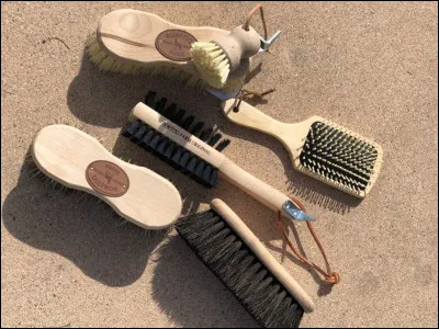 Par quoi commence-t-on le pansage ?