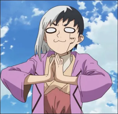 Quel est son poids ?