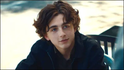 Timothée Chalamet : Dans quel(s) film(s) a-t-il joué ?