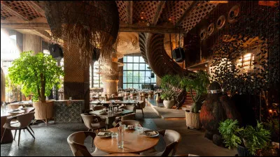 Quel MV de K-pop préfères-tu ?