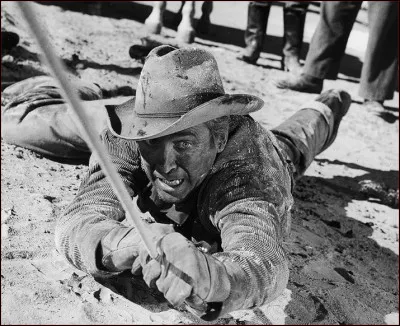 Que vient faire Will Lockhart dans cette aventure ?