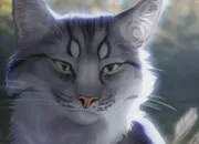 Quiz Reconnais le chat de ''LGDC'' sur limage (4)