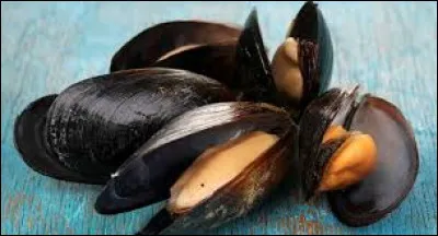 Le mytiliculteur est-il un &eacute;leveur de moules ?