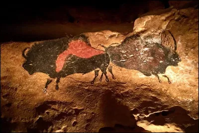 Quel est le nom de cet art pariétal ?