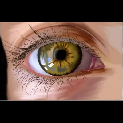 Quel est ton meilleur sens ?