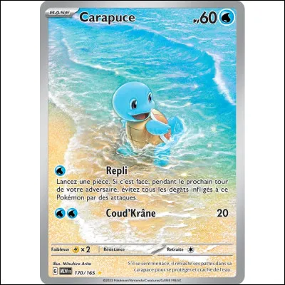 Quel est le nom de ce Pok&eacute;mon ?