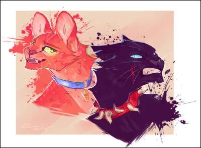 Quel lien a-t-il avec &Eacute;toile de Feu ?