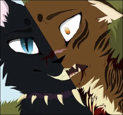 Pourquoi a-t-il tu&eacute; &Eacute;toile du Tigre ?