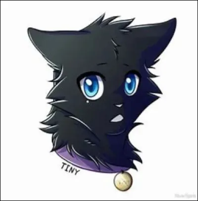 Quand il &eacute;tait chaton, Fl&eacute;au &eacute;tait...