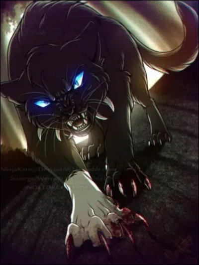 Comment est-il devenu chef ?