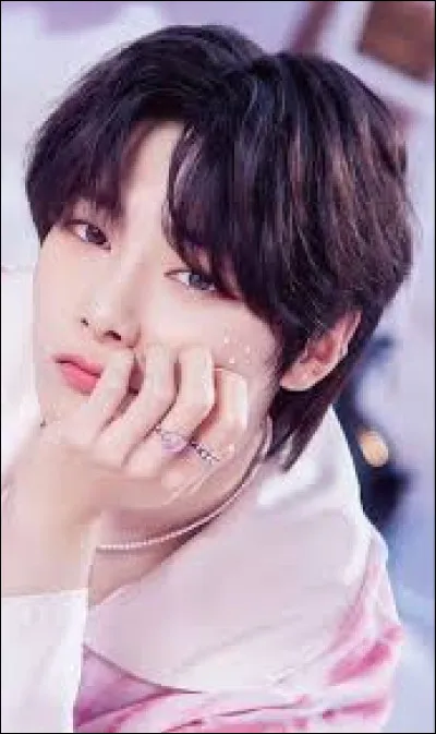 Quelle est la couleur pr&eacute;f&eacute;r&eacute;e de IN ?