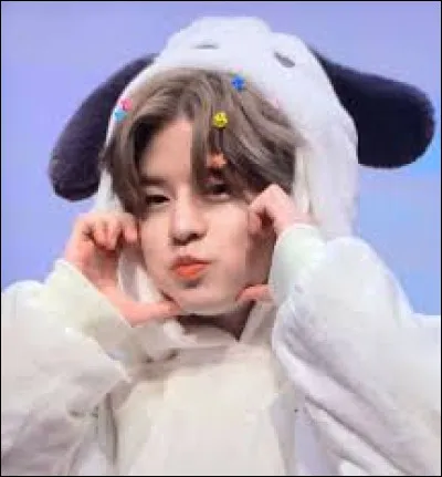 Quelle est la couleur pr&eacute;f&eacute;r&eacute;e de Seungmin ?