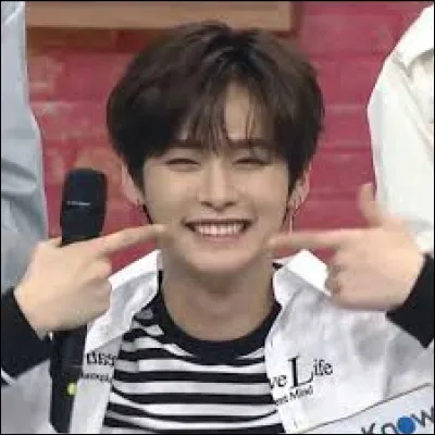 Quelle est la couleur pr&eacute;f&eacute;r&eacute;e de Lee Know ?