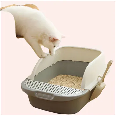 Les chats vont en moyenne combien de fois par jour &agrave; leur liti&egrave;re ?