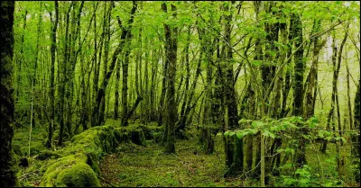 Bienvenue sur ce quiz, vous avez bien regardé le titre ? Quelle est la suite de la chanson du titre ?