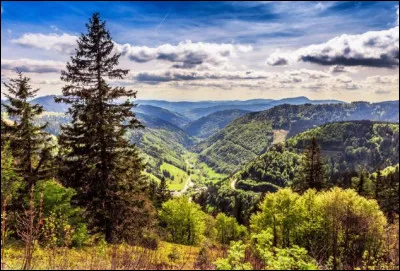 Changeons de sujet car le quiz n'est pas sur Harry Potter. Comment s'appelle le gâteau qui a le même nom qu'une vraie forêt en Allemagne ?