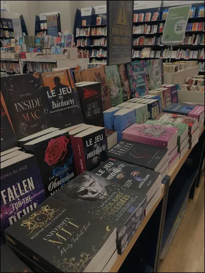 Veux-tu un roman avec beaucoup de pages ?