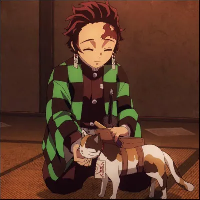 La chat de Tamayo et Yushiro s'appelle Chachamaru.