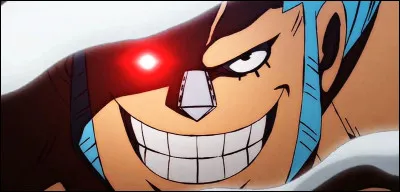 Quel est le r&ocirc;le de Franky dans l�&eacute;quipage ?