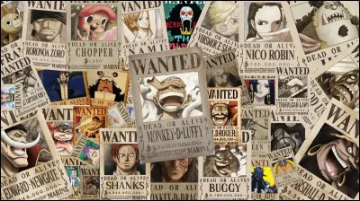 Quel type de Haki est r&eacute;serv&eacute; &agrave; une minorit&eacute; d�&eacute;lus ?