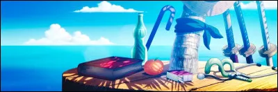 Qui est la navigatrice de l�&eacute;quipage ?