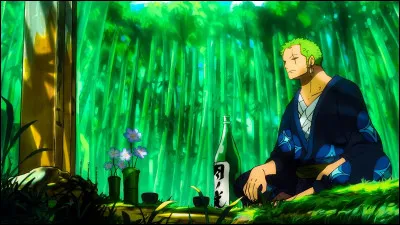 Quel est le style de combat de Zoro ?