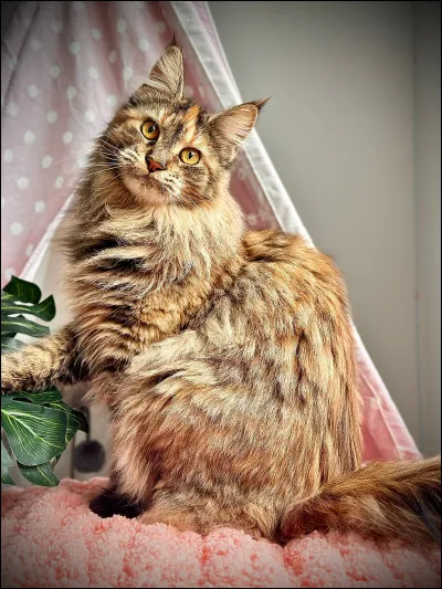 Premièrement, qui est sa mère ?