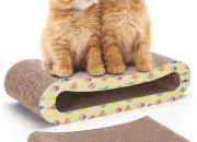 Quiz Feuille de Lune ou Poil d'Écureuil ?