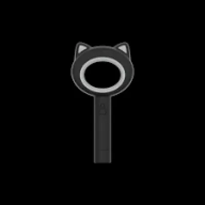 &Agrave; qui est ce lightstick ?