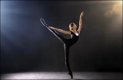 Comment s'appelle cette figure ?