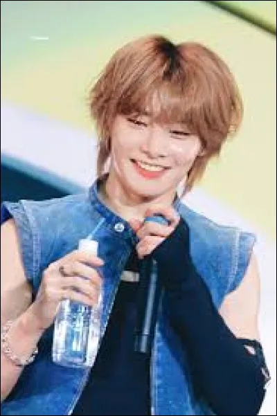 Quel est son mod&egrave;le ?