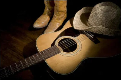 Lequel de ces artistes ne s'illustre pas dans la musique country ?