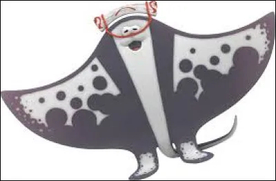 Quel &acirc;ge a Raimi ?