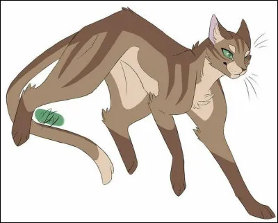 Qui sont les chats qu'il a tu&eacute;s ?